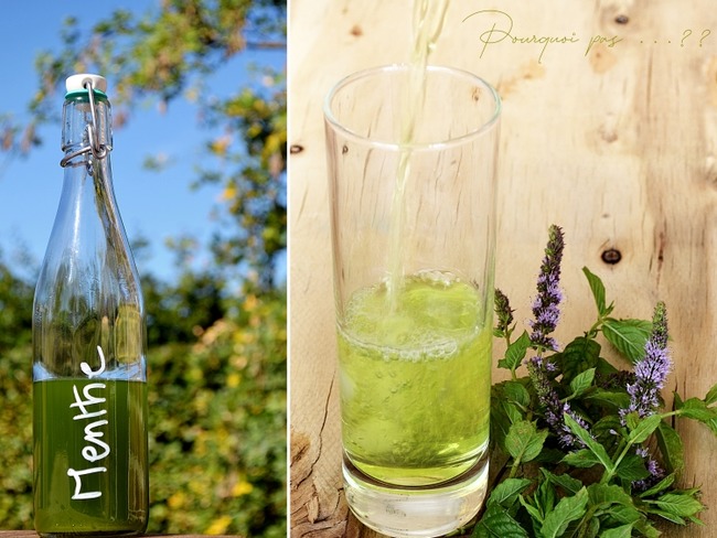 Liqueur de menthe - Recette par Isabelle