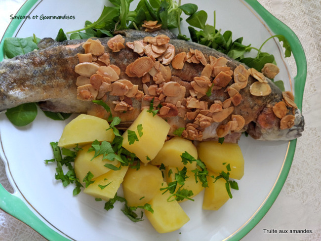 Truite Aux Amandes En Papillote Au Four