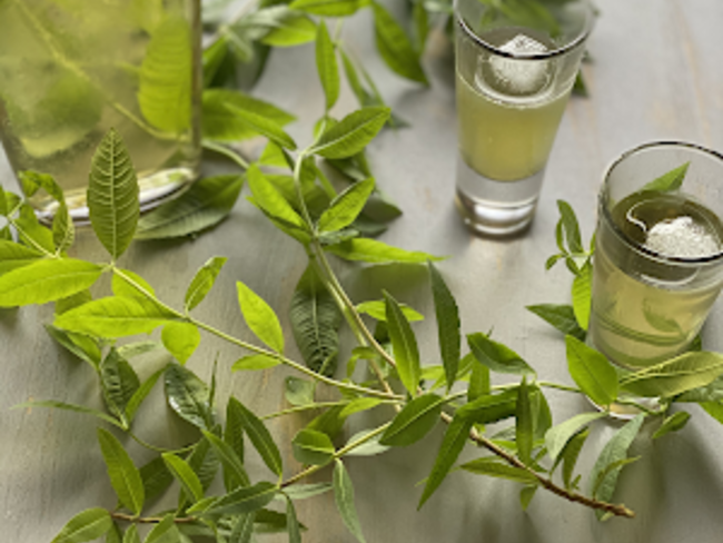 liqueur de verveine. - Recette par pimprenelle