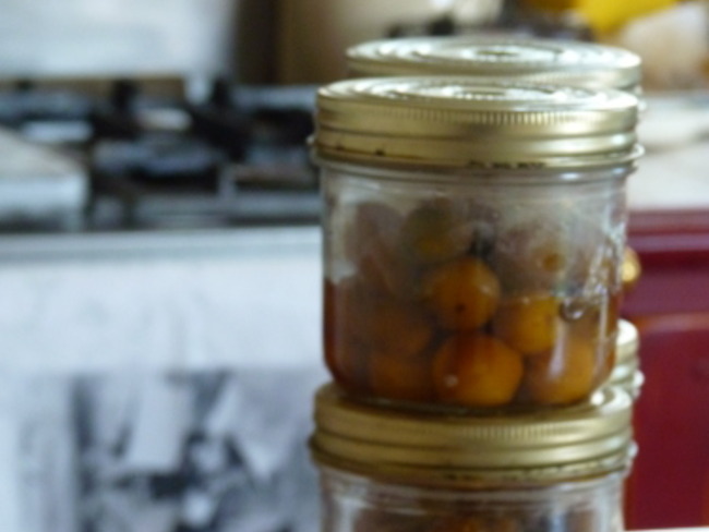 Conserve De Mirabelles Au Naturel Le Parfait