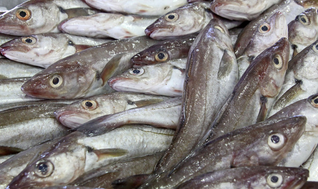 Recettes De Merlan Et De Lieu Noir